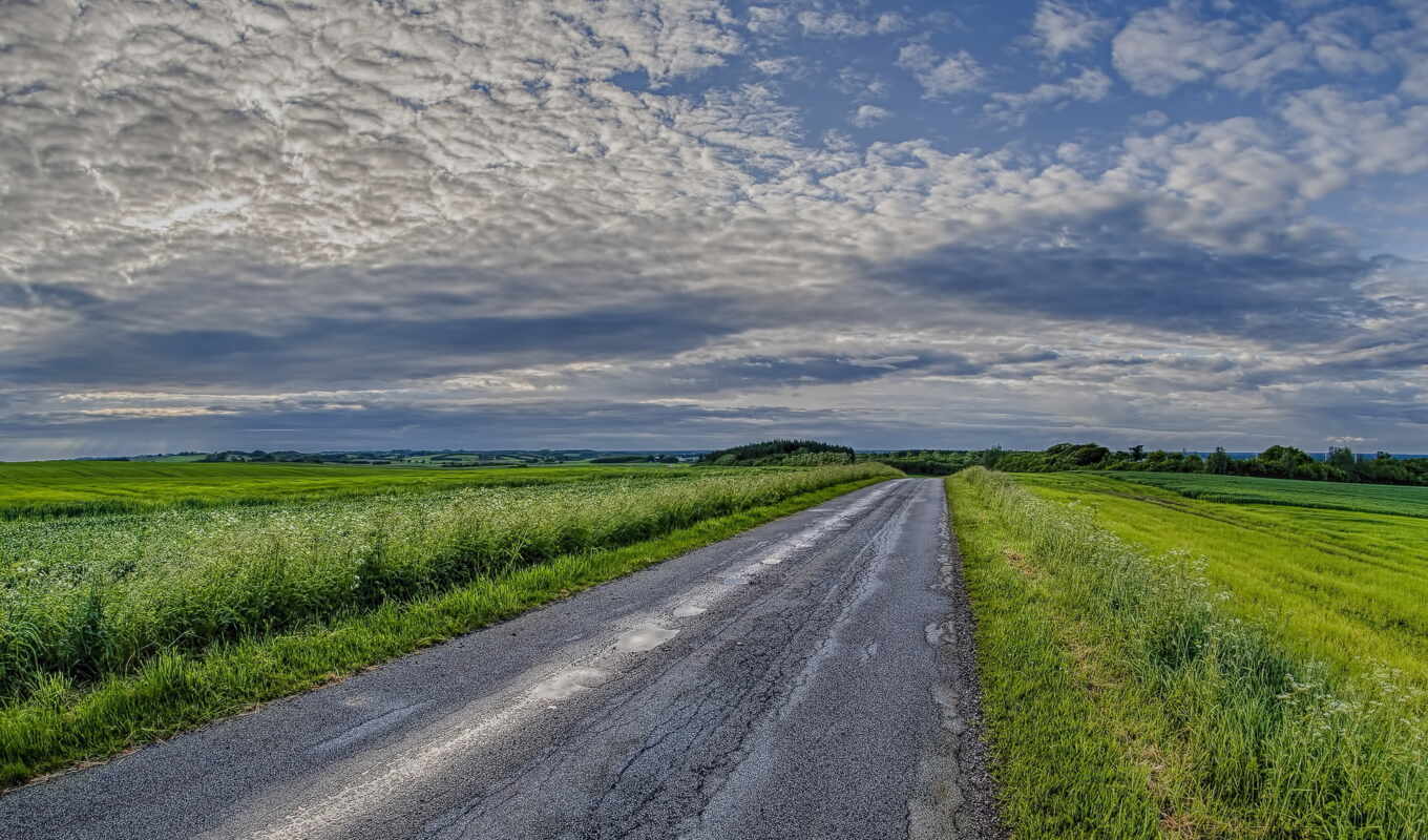 nature, green, grass, road, stock, field, clouds