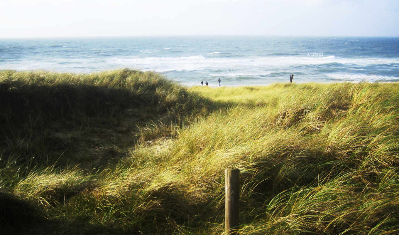 desktop, free, трава, пляж, море, ветер, пляж