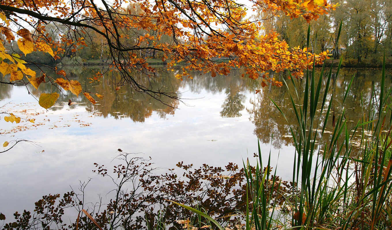 lake, autumn, fonwallfoto