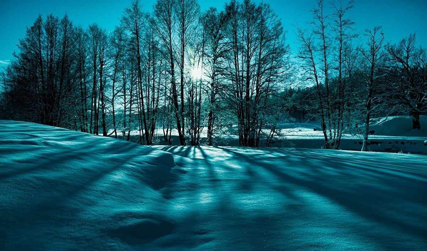 the most, snow, winter, field, cold, suns, popular, reply, lighting, standard