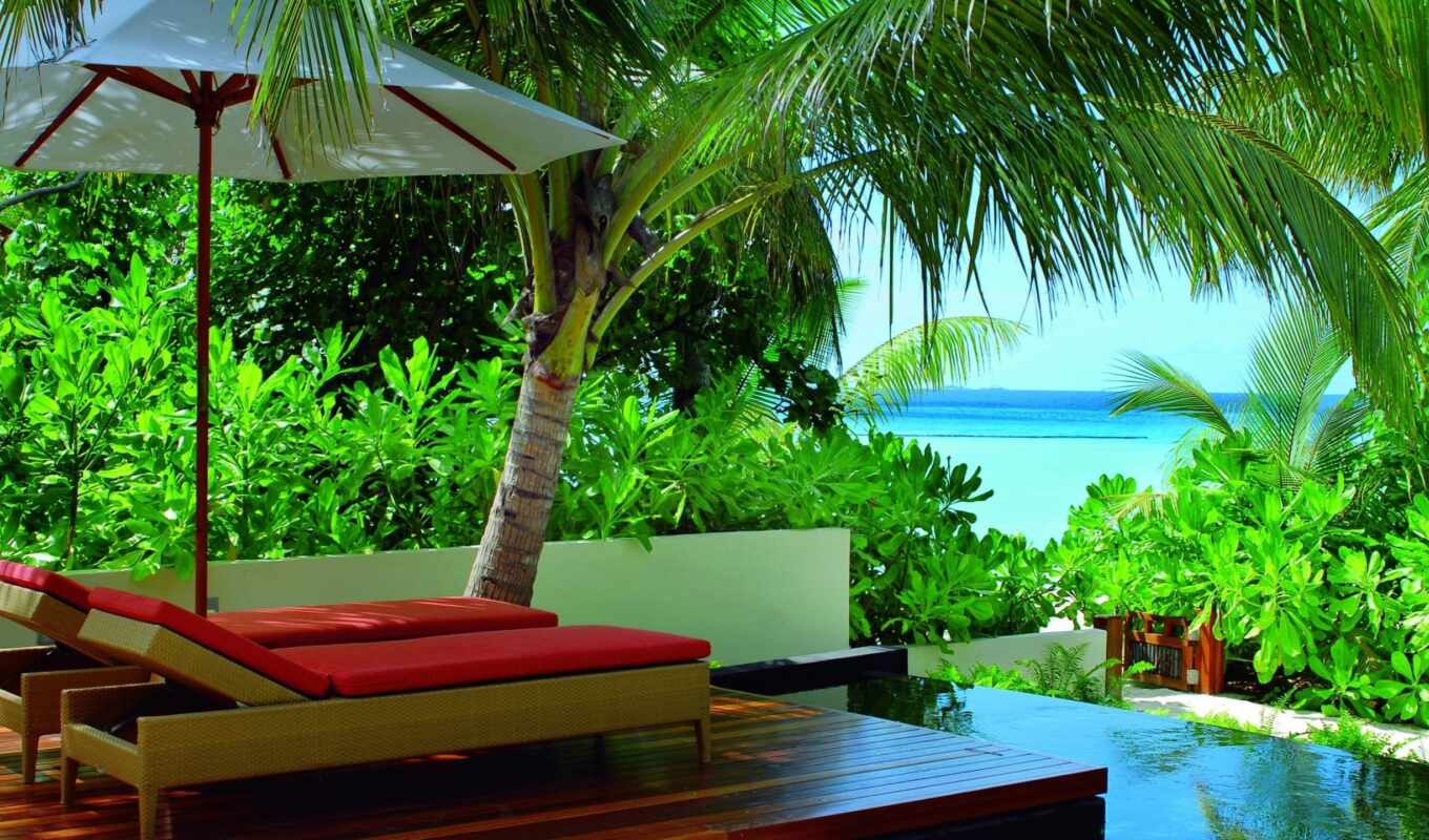 ocean, пальмы, maldives, пляж, preview, summer, 