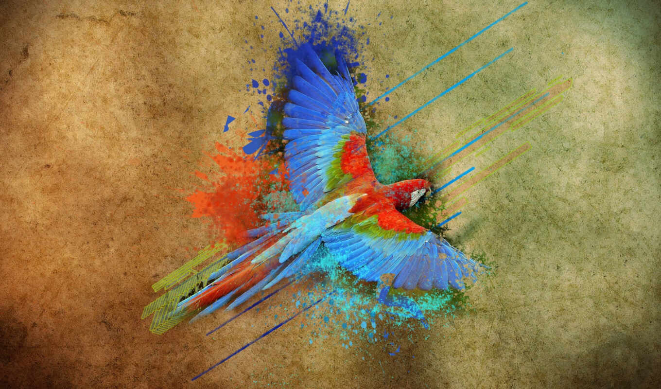 paint, green, red, a parrot, ara, fly