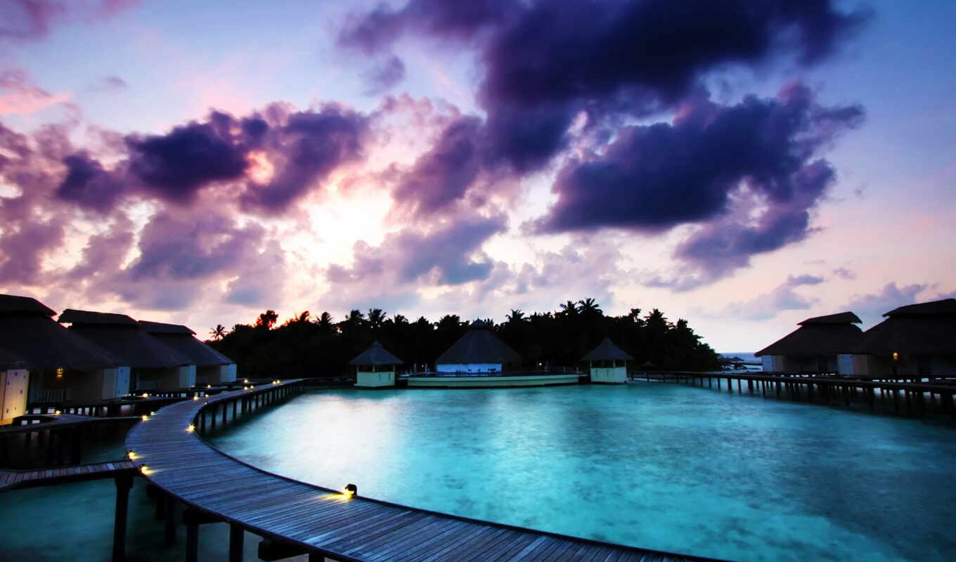 palm trees, ocean, maldives, water, different, purple, bungal, maldives, blue
