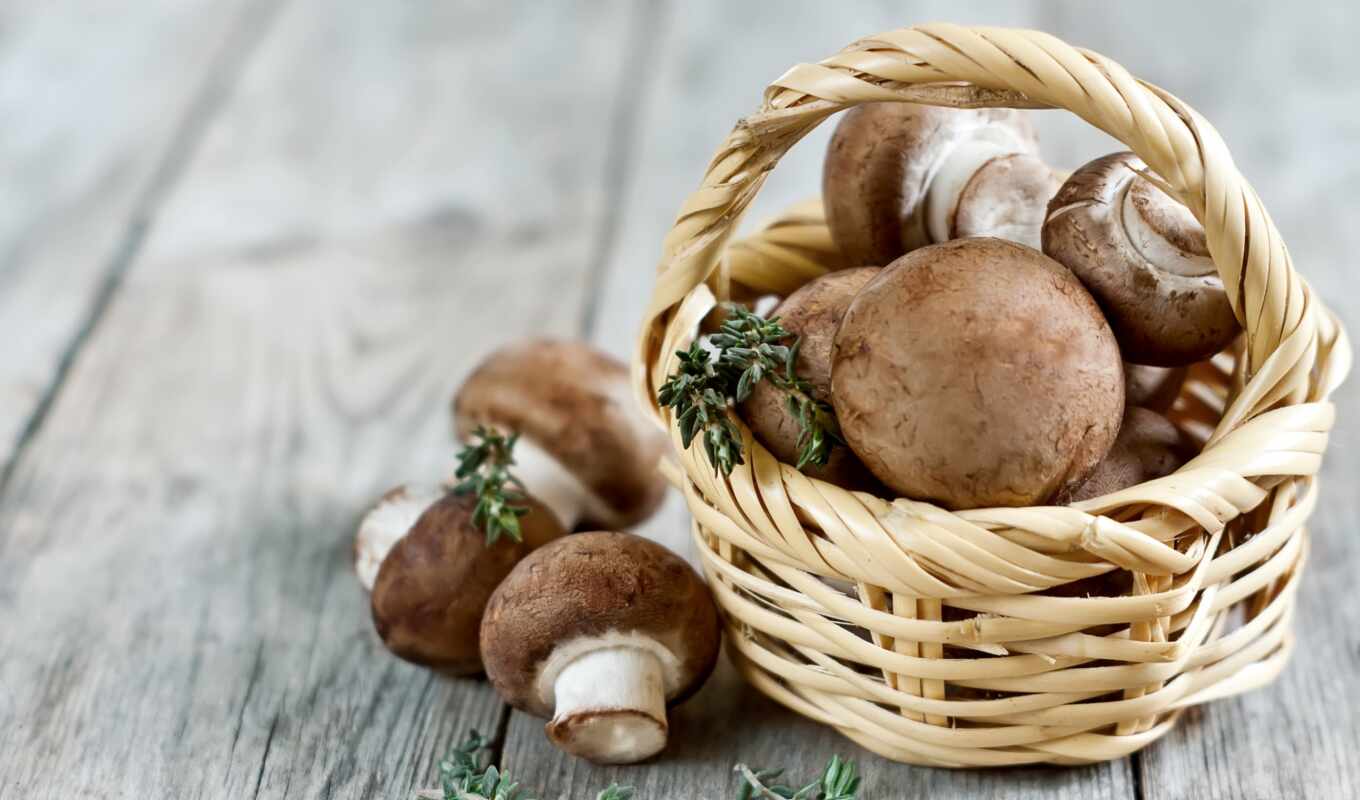 whether, pregnancy, mushrooms, mushrooms