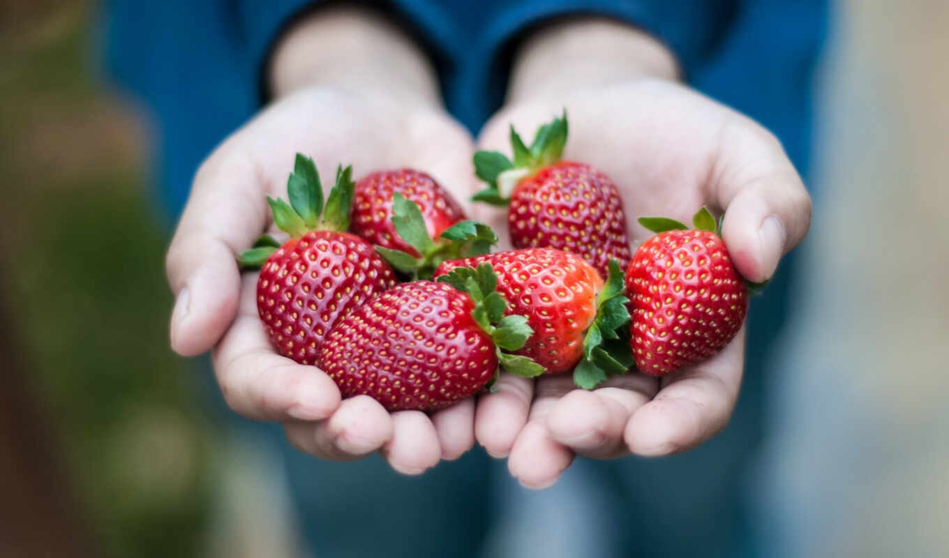 photo, strawberry, berry, arm