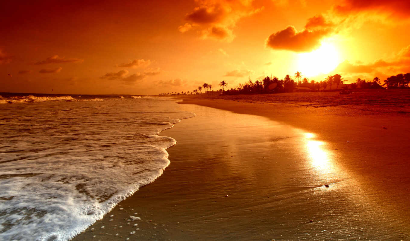 nature, picture, sun, sunset, beach, sea, coast