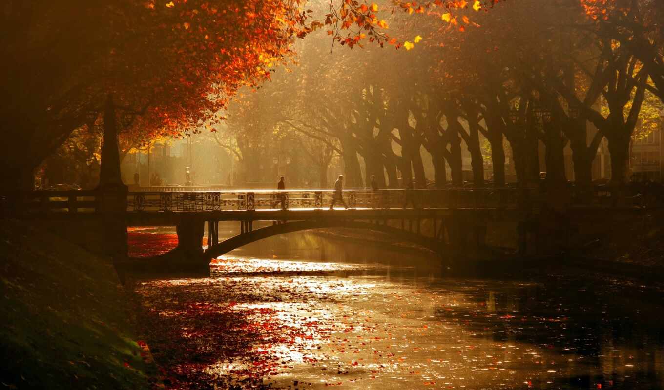 дерево, канал, мост, осень, красивый, cruise, река, landmark, dusseldorf, germanii