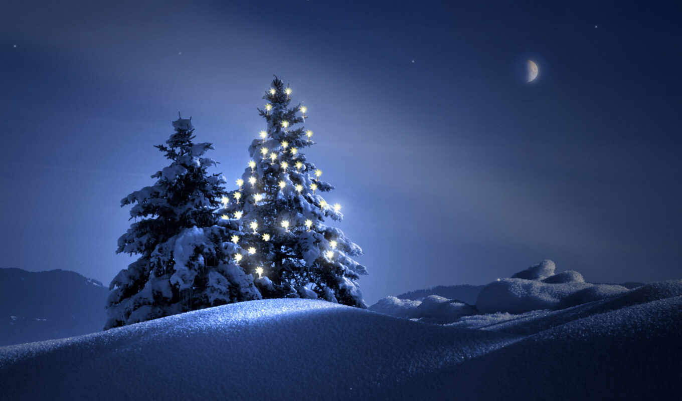 природа, фон, дерево, ночь, снег, winter, christmas, snowy, scene, pxfuelpage, pxfuelchristmas
