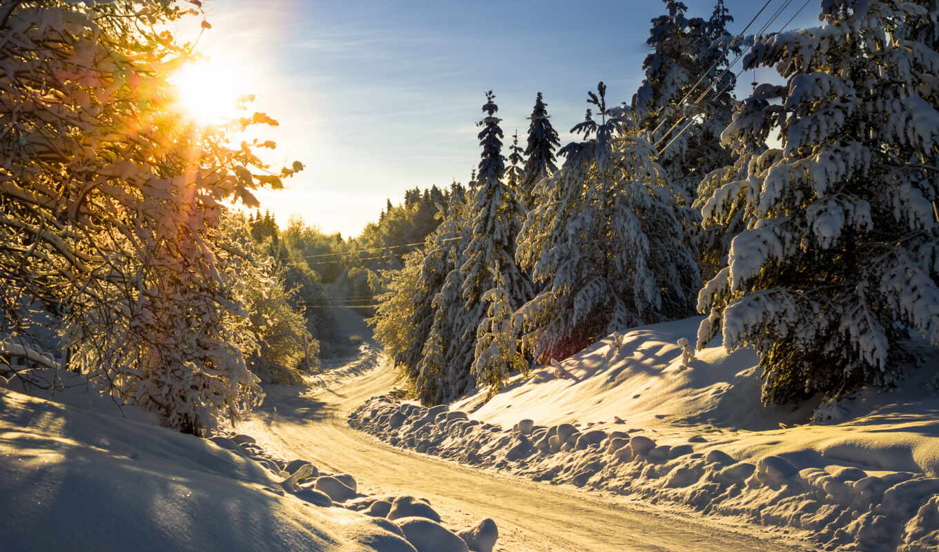 снег, winter, лес, род, утро, красивый, pleasant, regiment, заснеженный