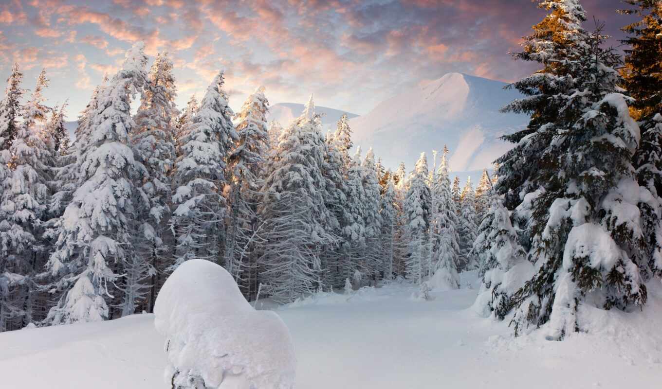 снег, winter, лес, сосны, ёль, oblaka, горы, крымский