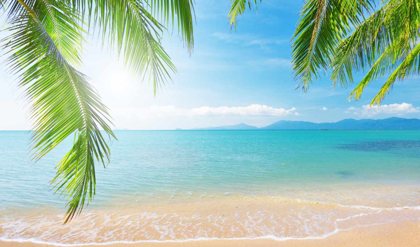 beach, sea, coast, palm trees, photo wallpapers