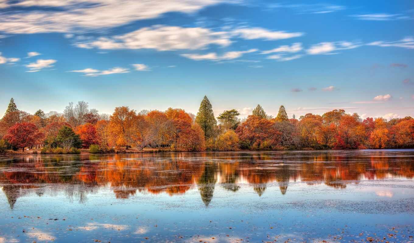 озеро, телефон, подборка, красивые, осень, листва, park, trees, обойный