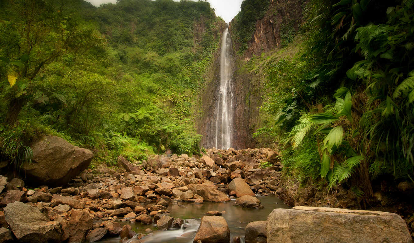 nature, jungle, stone, river, waterfall, because