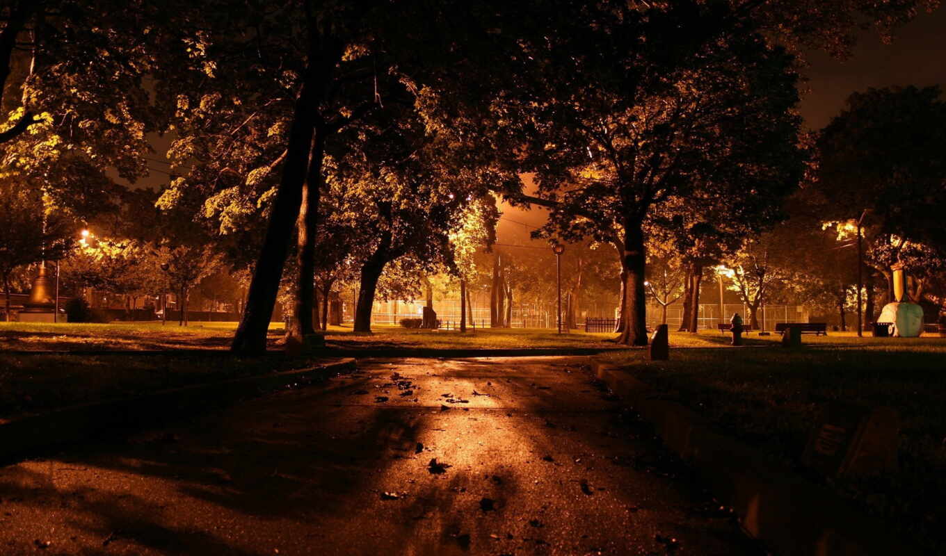 природа, свет, город, ночь, вечер, осень, park, trees, трек, скамейка, фонари