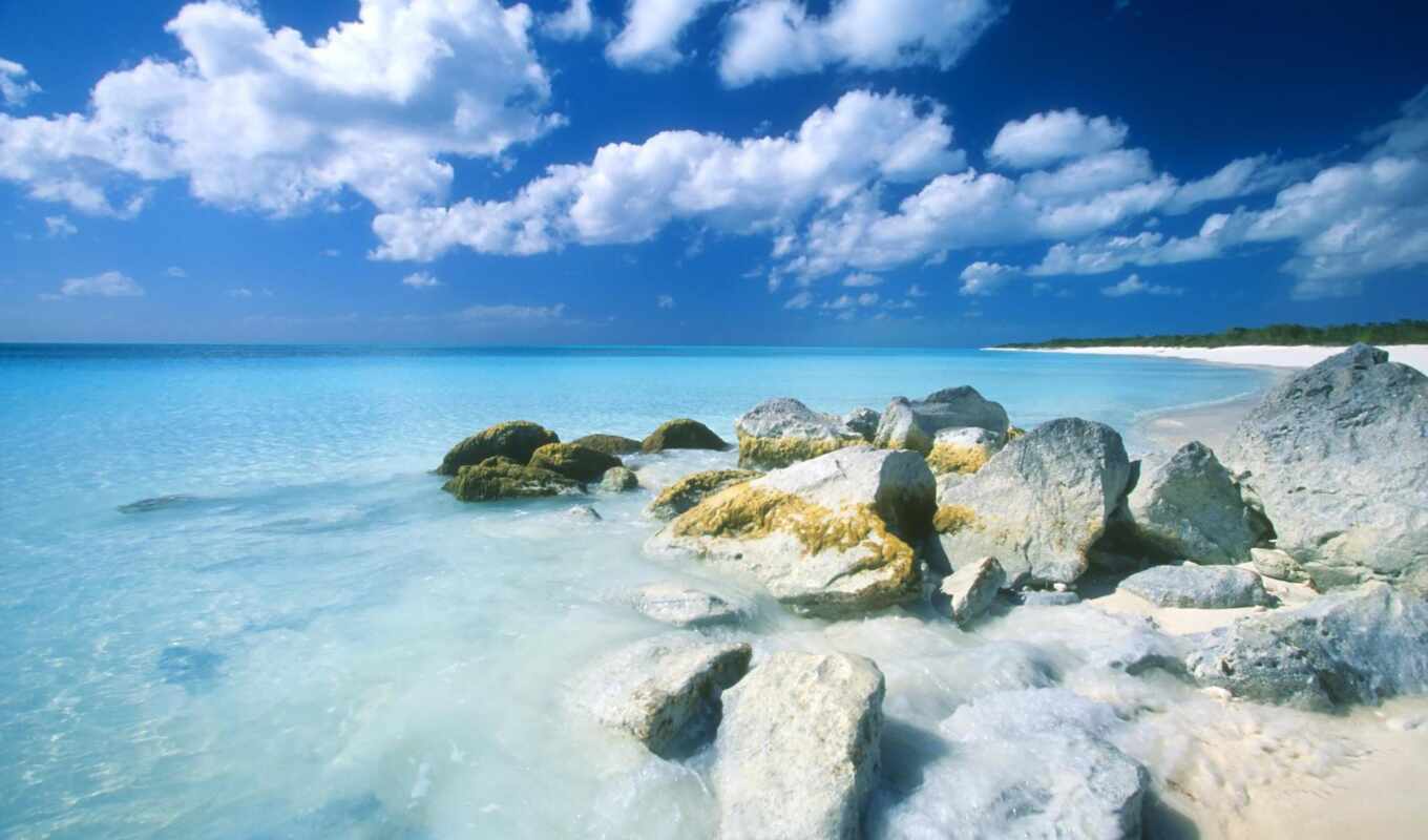 широкоформатные, качественные, красивые, пляж, банка, пляже, монитора, бесплатные, tropics
