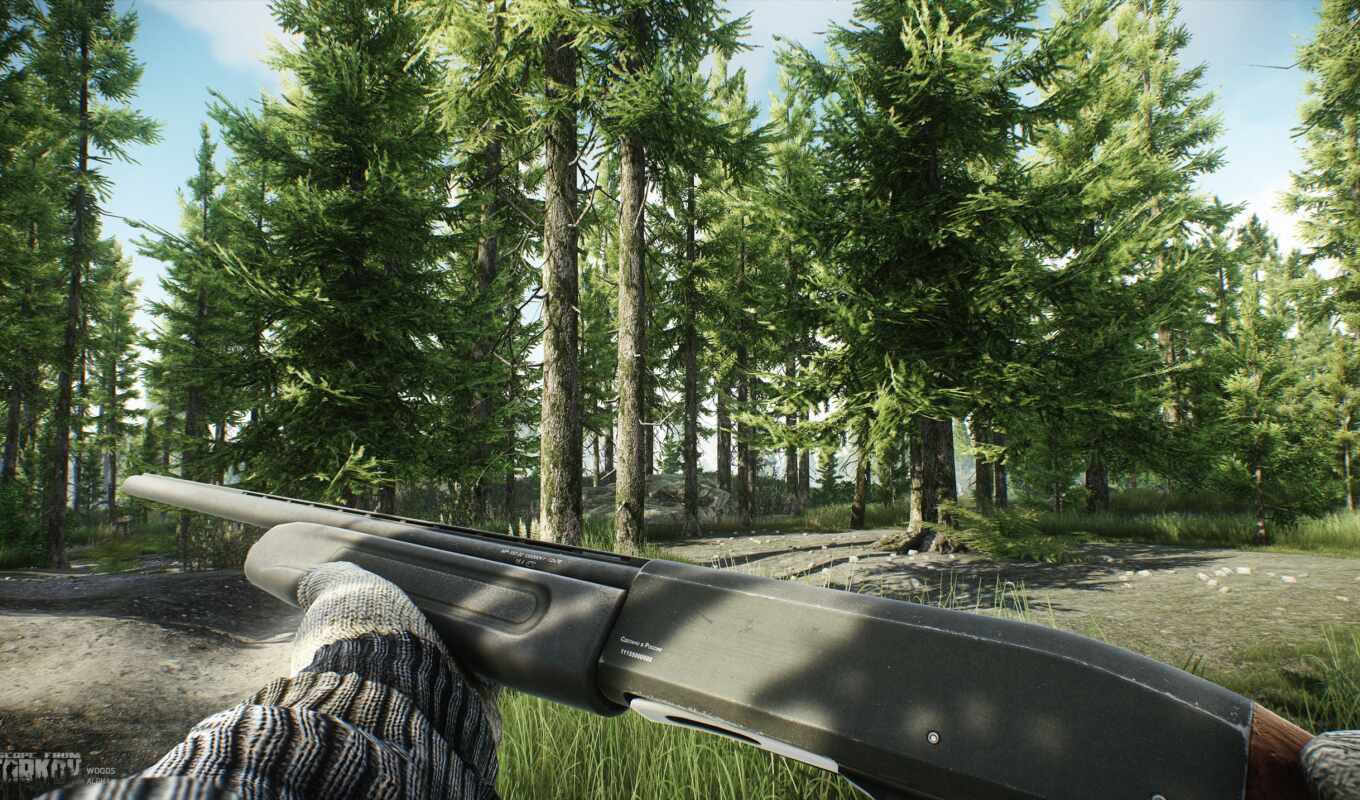 new, forest, screenshot, location, escape