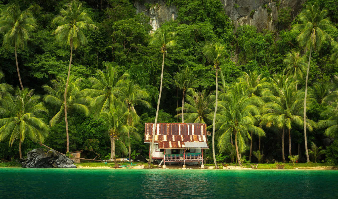 nature, house, sea, January, palm, tropical, tropic, philippines, exotica, nido, filipina