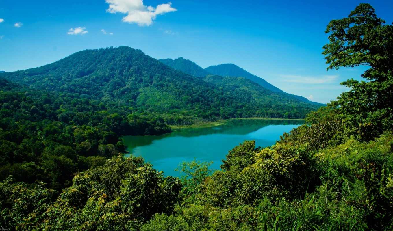 озеро, лес, гора, bali, indonesia