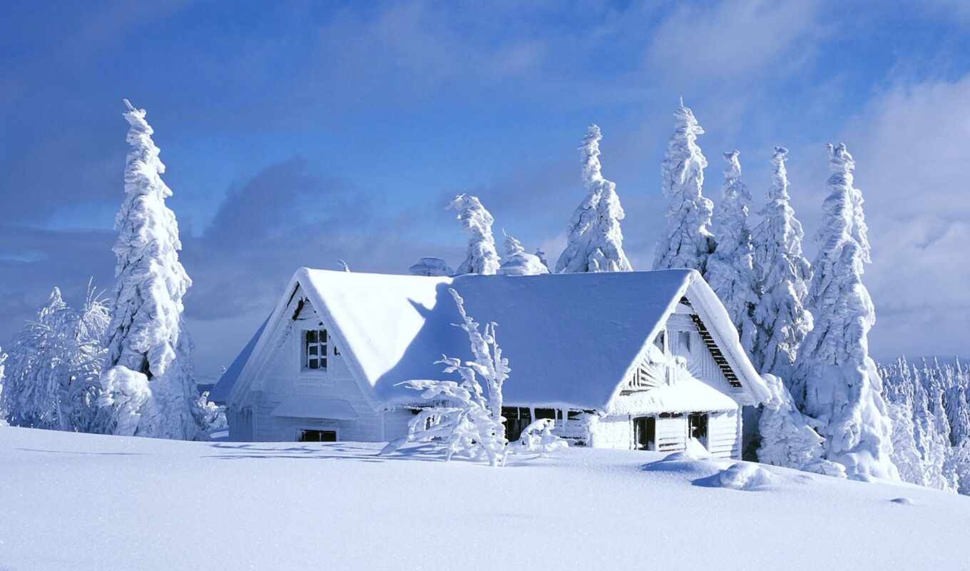 house, снег, winter