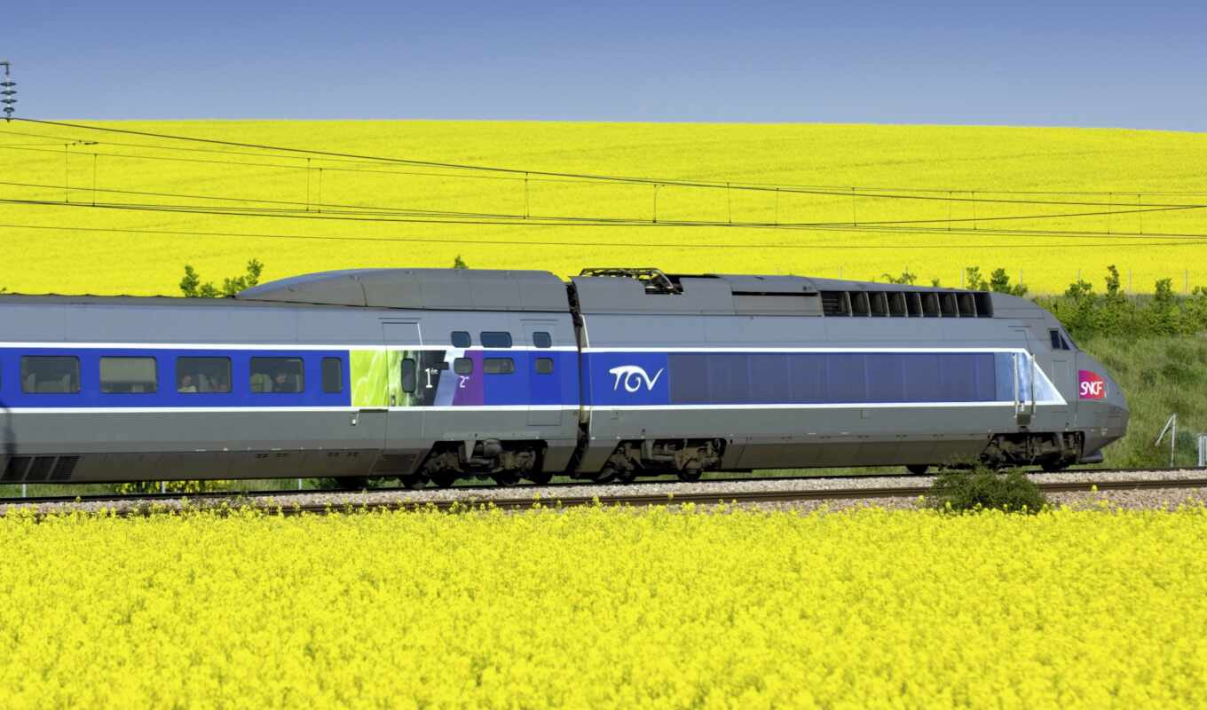 high, a train, France, Paris, speed, travel, trains, tgv
