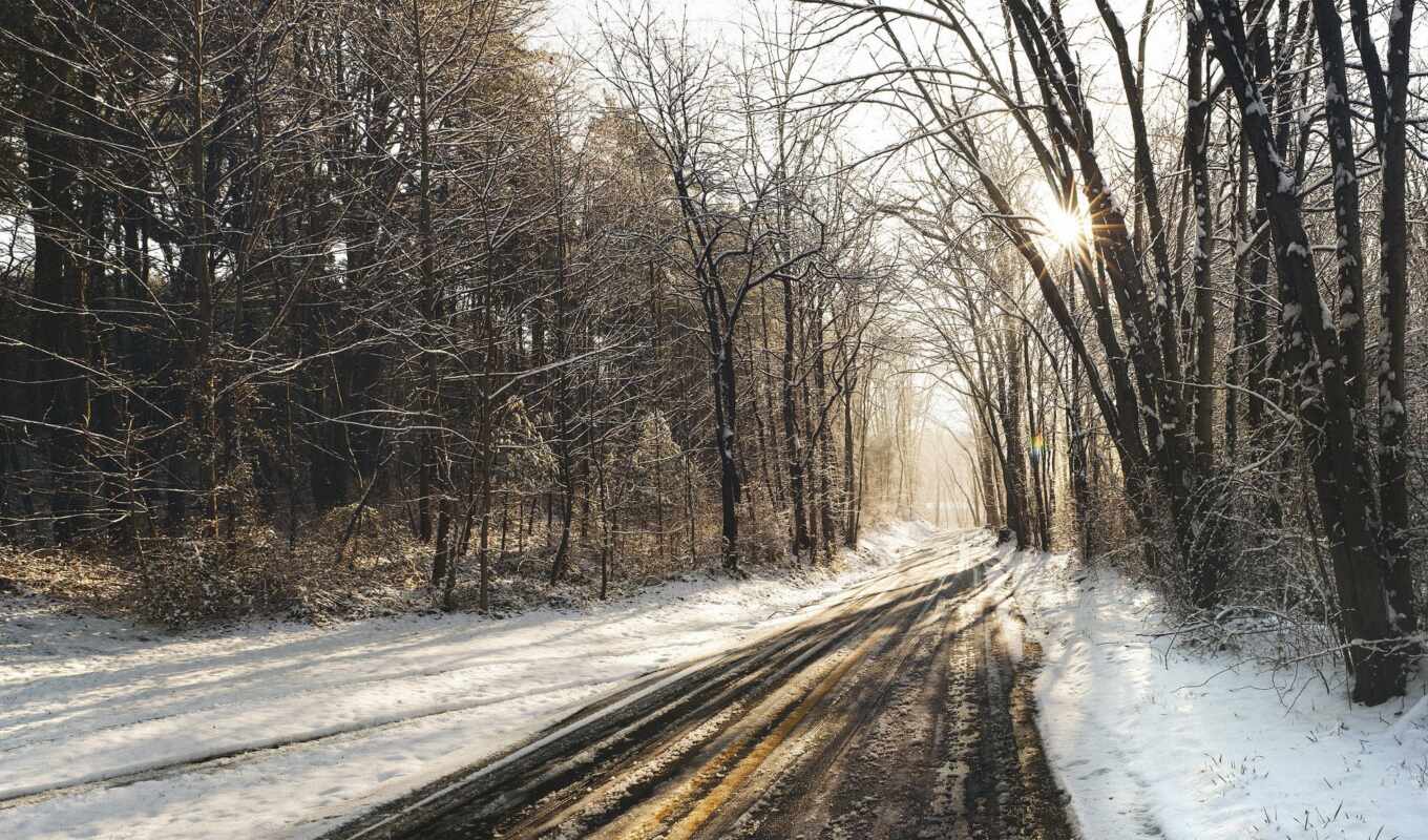 пейзажи -, снег, winter, лес, дорога, лесу, снегу, trees, солнечный, зимняя, заснеженный