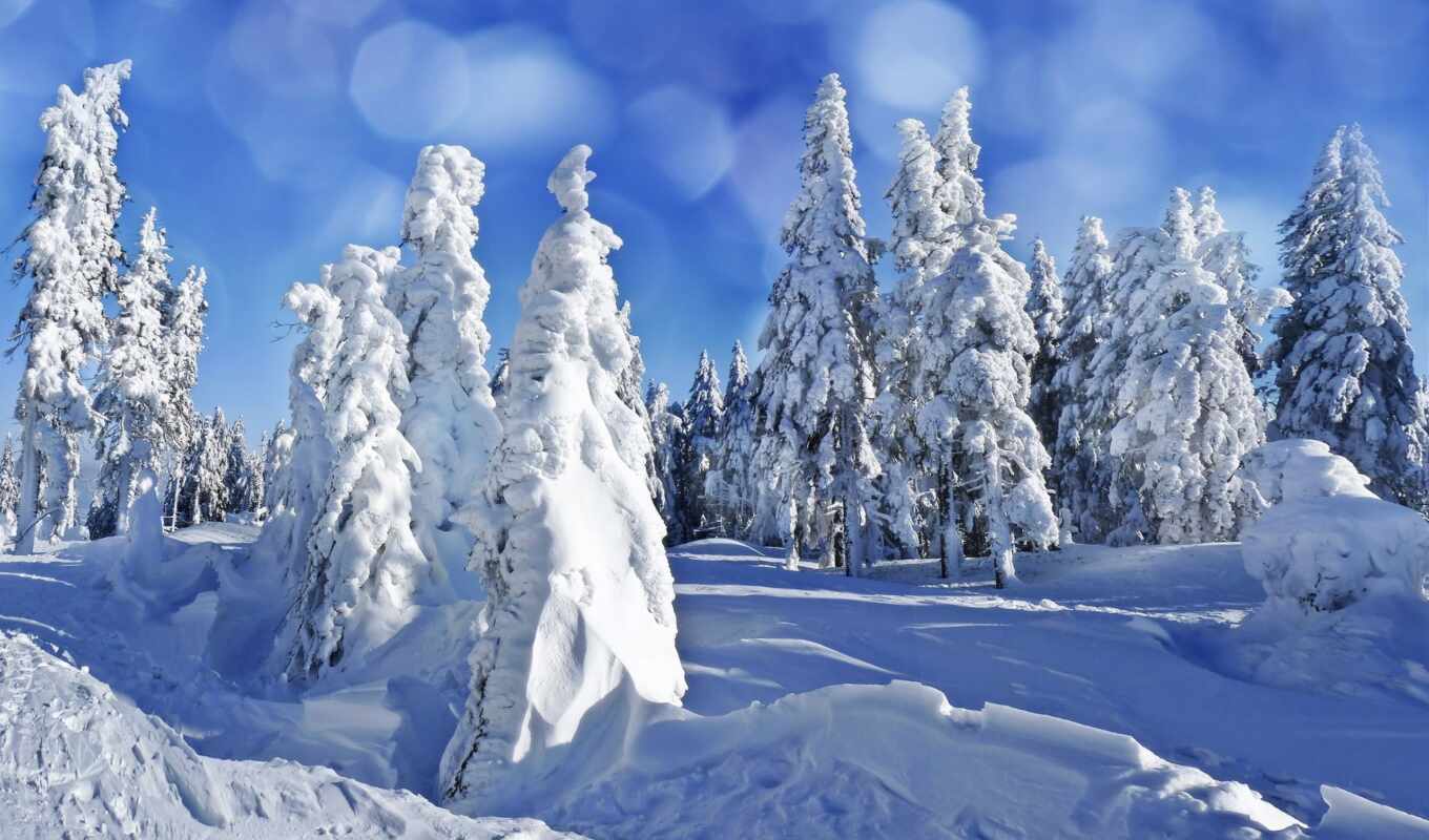 природа, небо, снег, winter, лес, елки, eli, сугробы