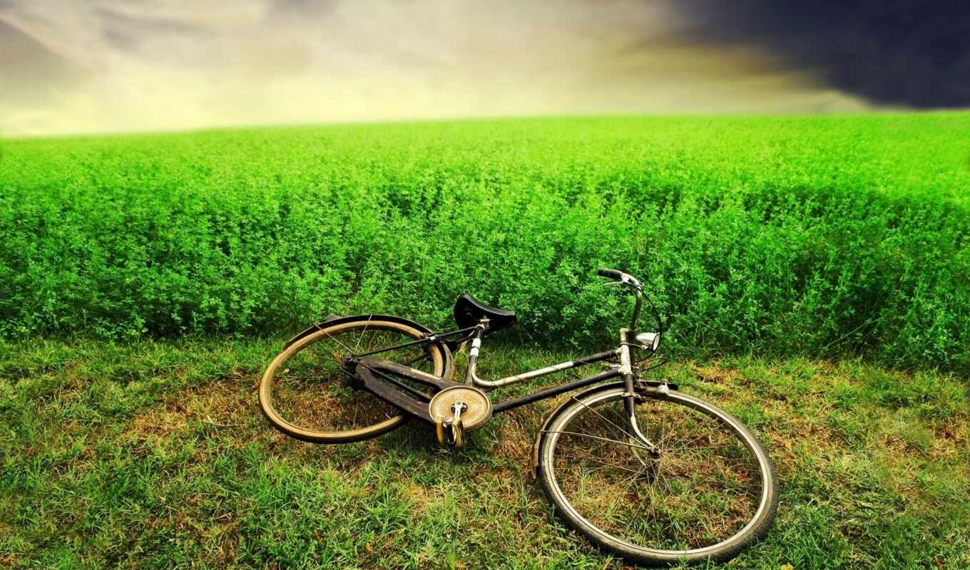 велосипед, трава, поле, горизонт, небо