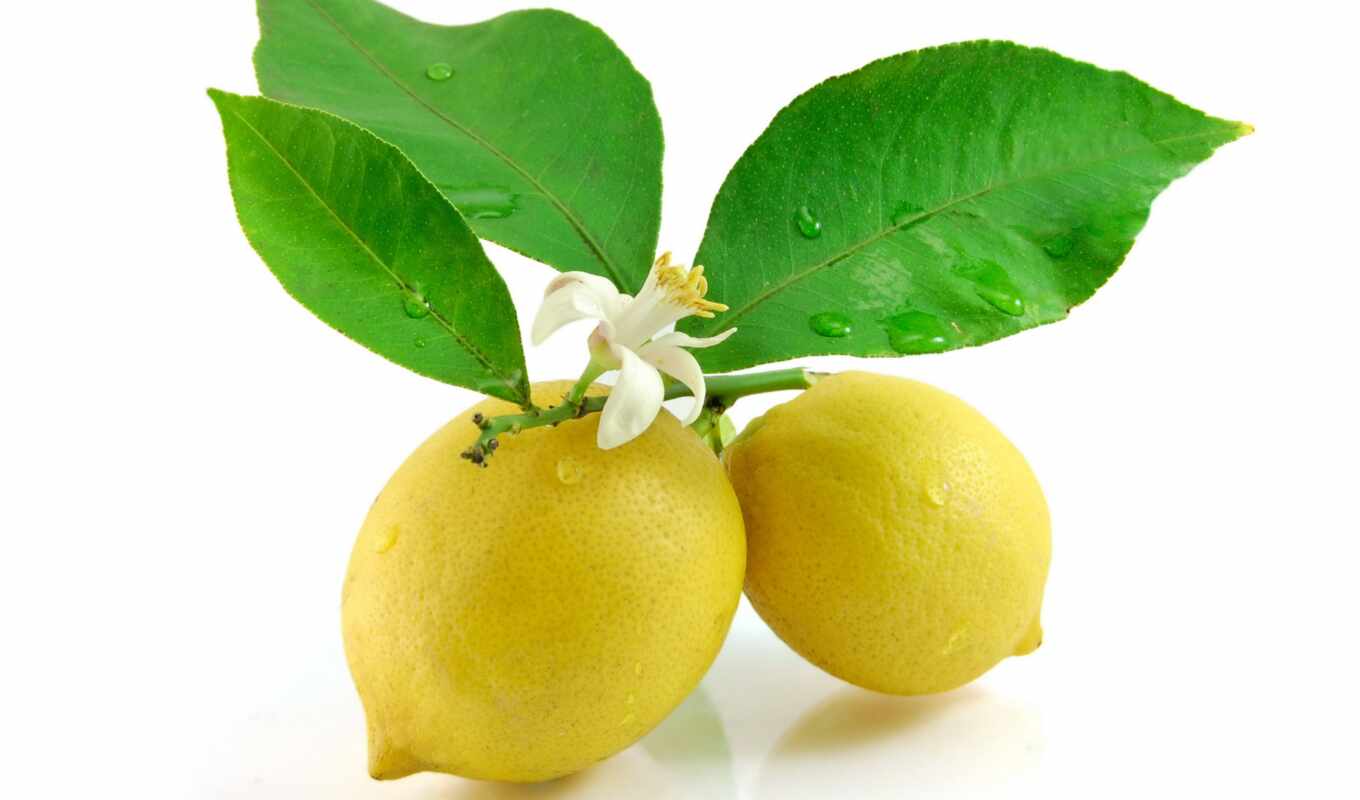 лист, lemon