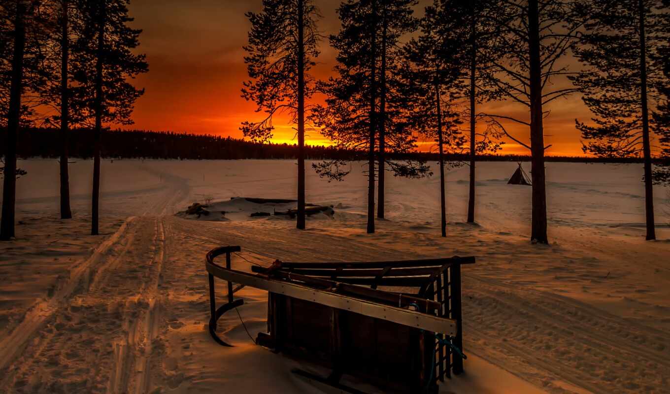 sun, winter, лес