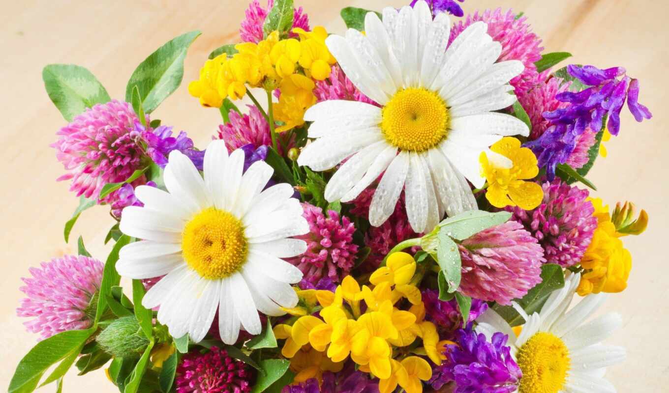 flowers, girl, field, bouquet, chamomile