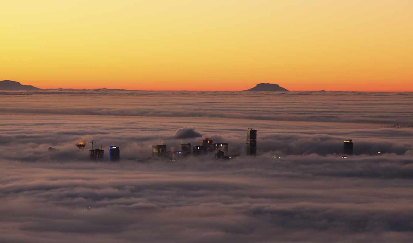 view, city, flight, fog, heights, avian