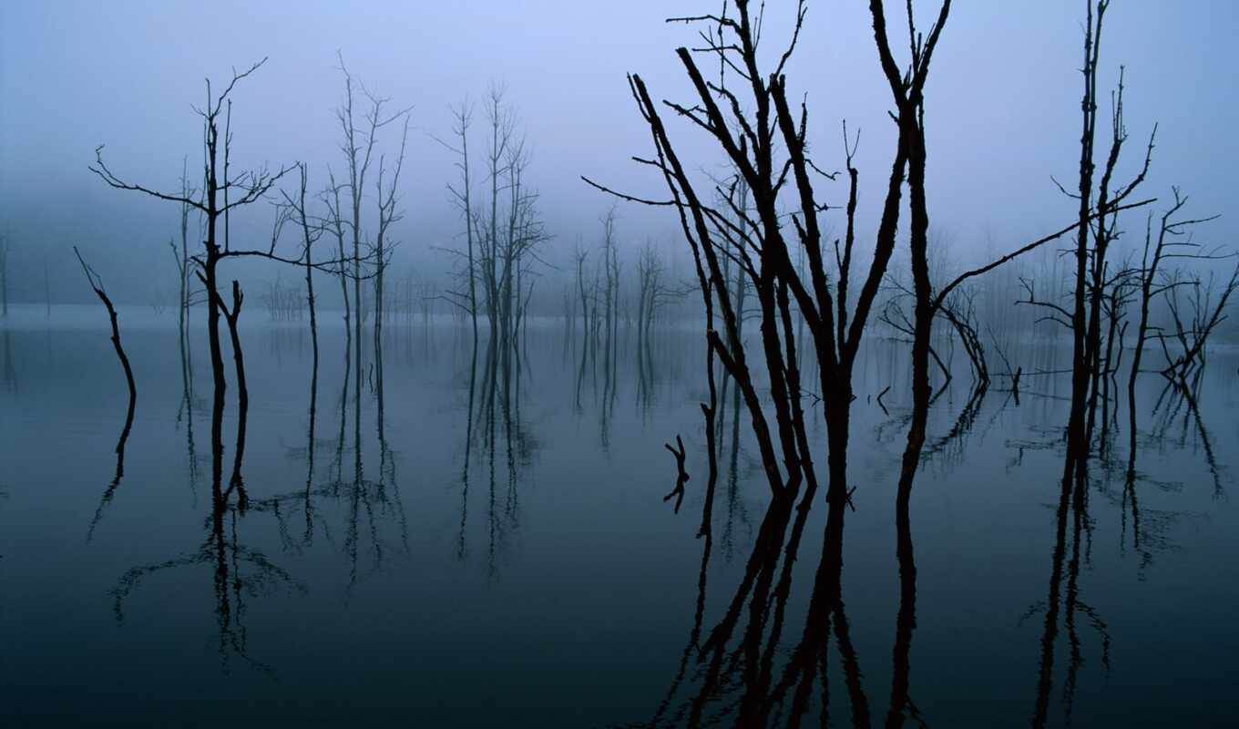 озеро, отражение, tpic