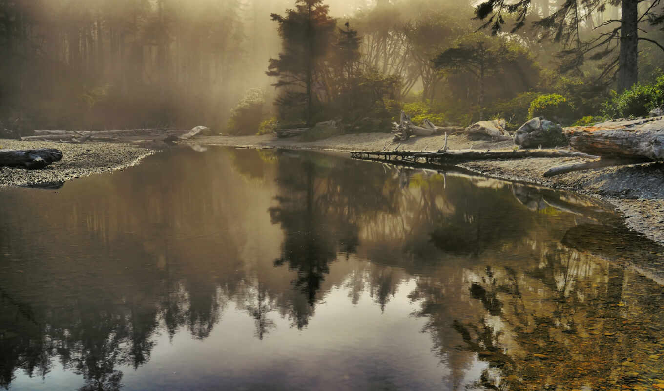 туман, озеро, утро, природа, 