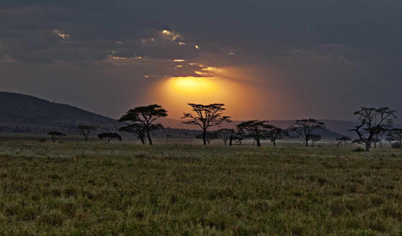 закат, саванна, африка, kenya