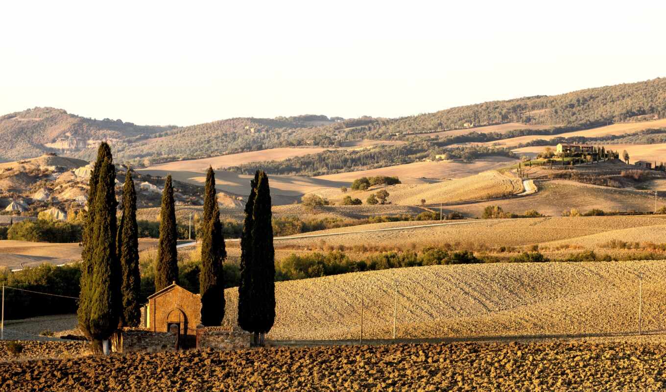 house, tree, road, field, square, val, italy, Tuscany, rural, countryside, orcia