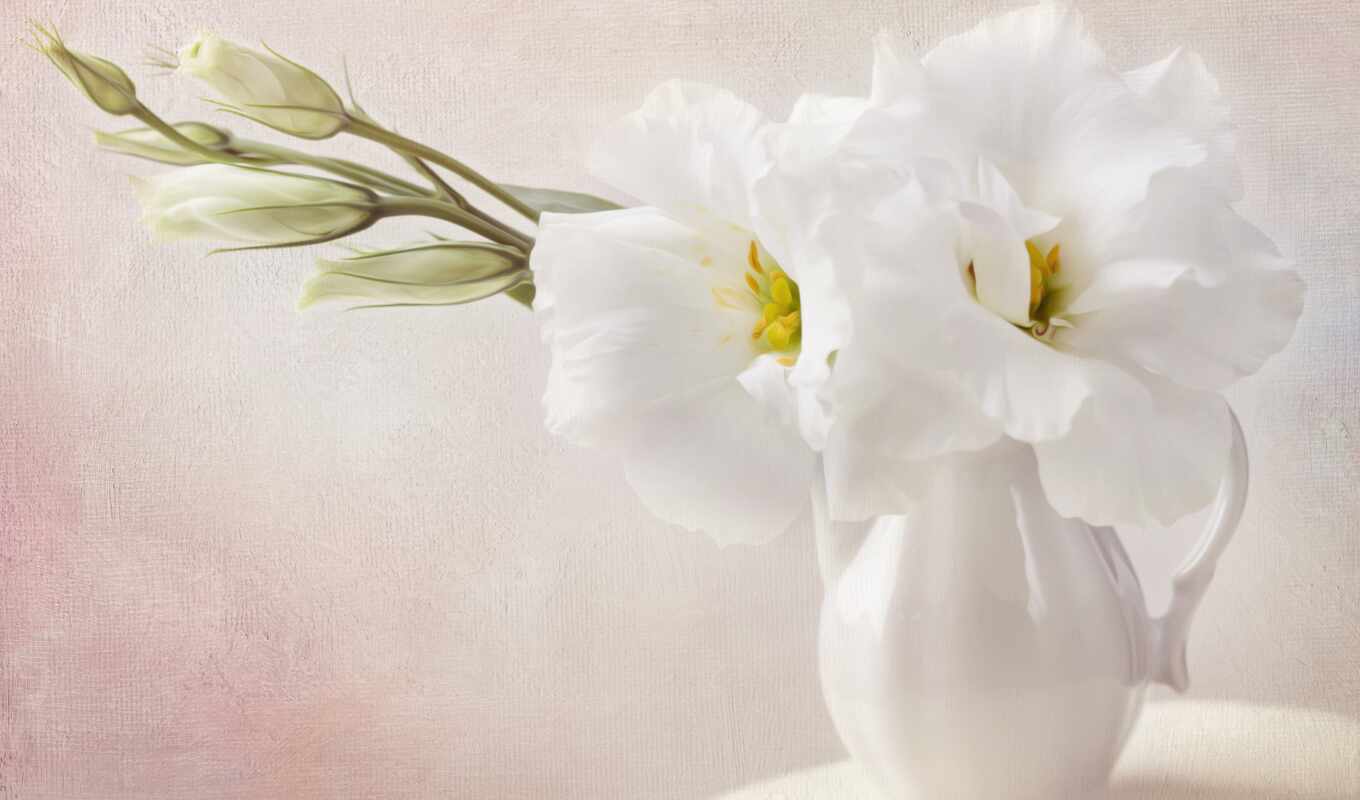 white, flowers, flowers, cvety, interior, article, posters, photo wallpapers, deferred