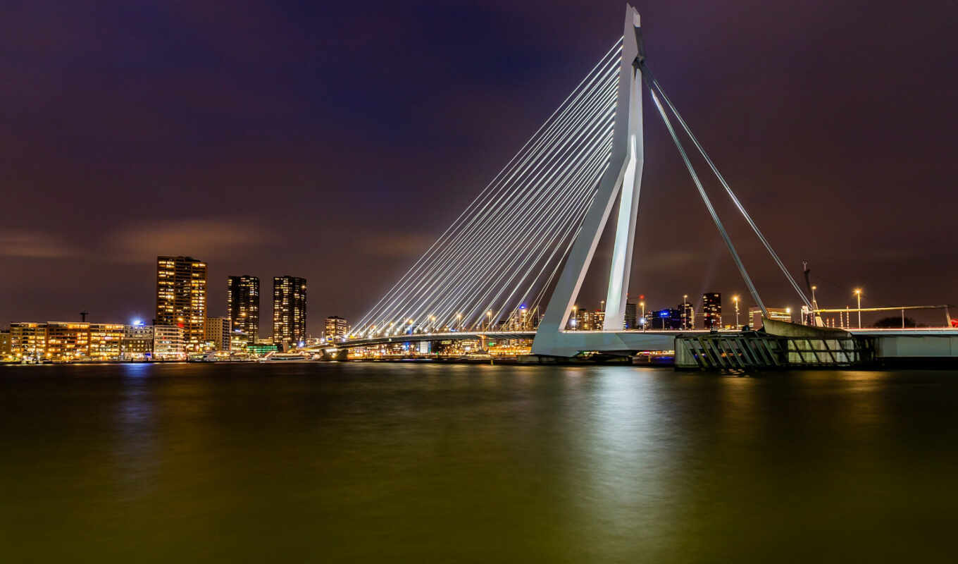 мост, роттердам, erasmus