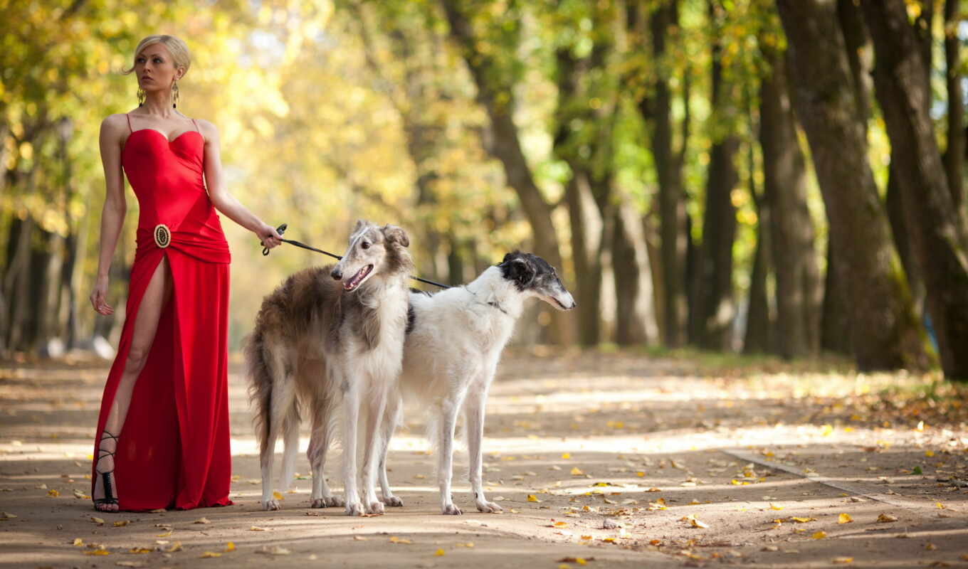 девушка, платье, красном, двумя, борзыми, собаками