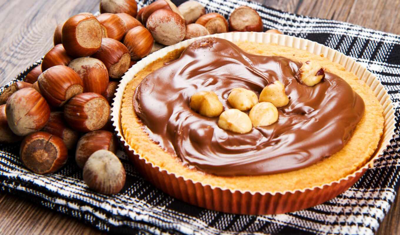photo, chocolate, hazelnuts, nut