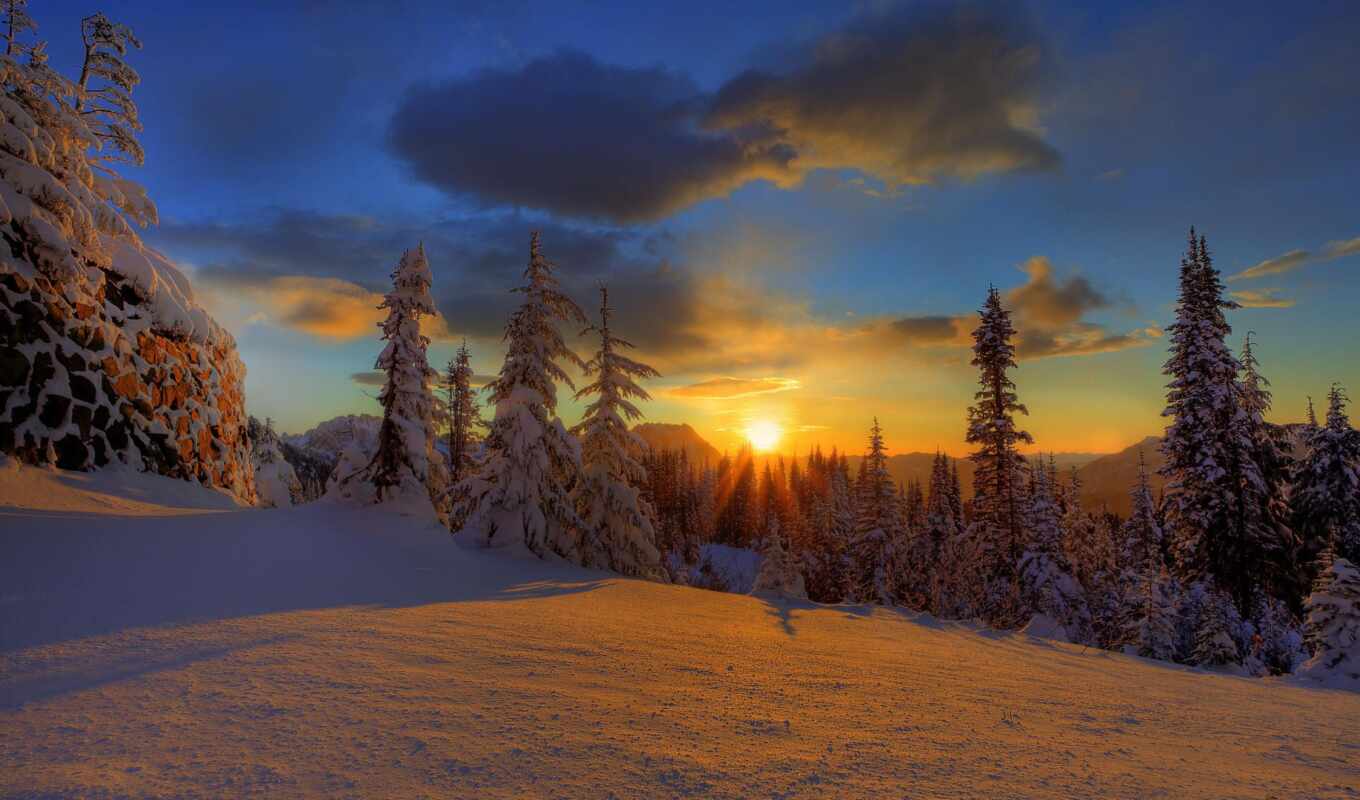 природа, небо, закат, снег, winter, лес, красавица, елки, oblaka