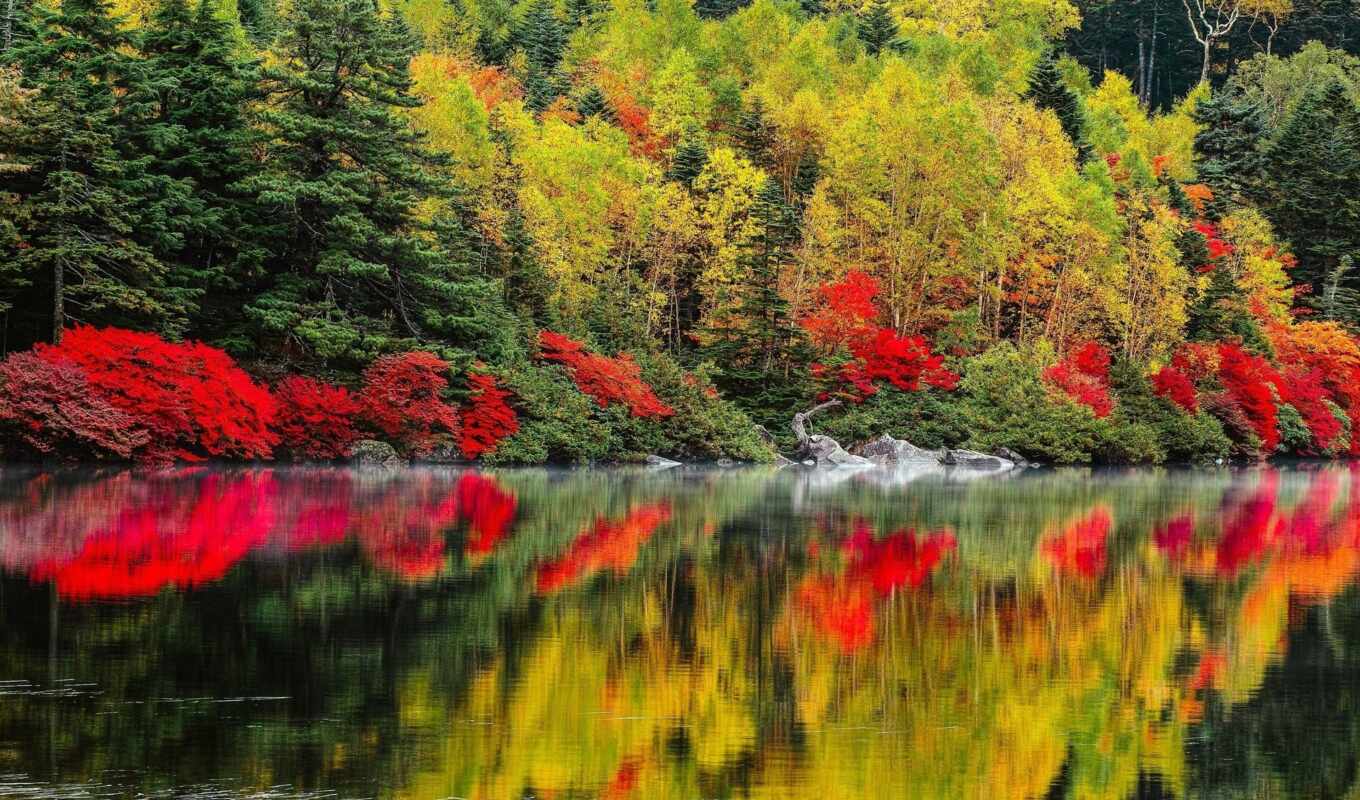 озеро, природа, лес, landscape, осень, река, trees, горы