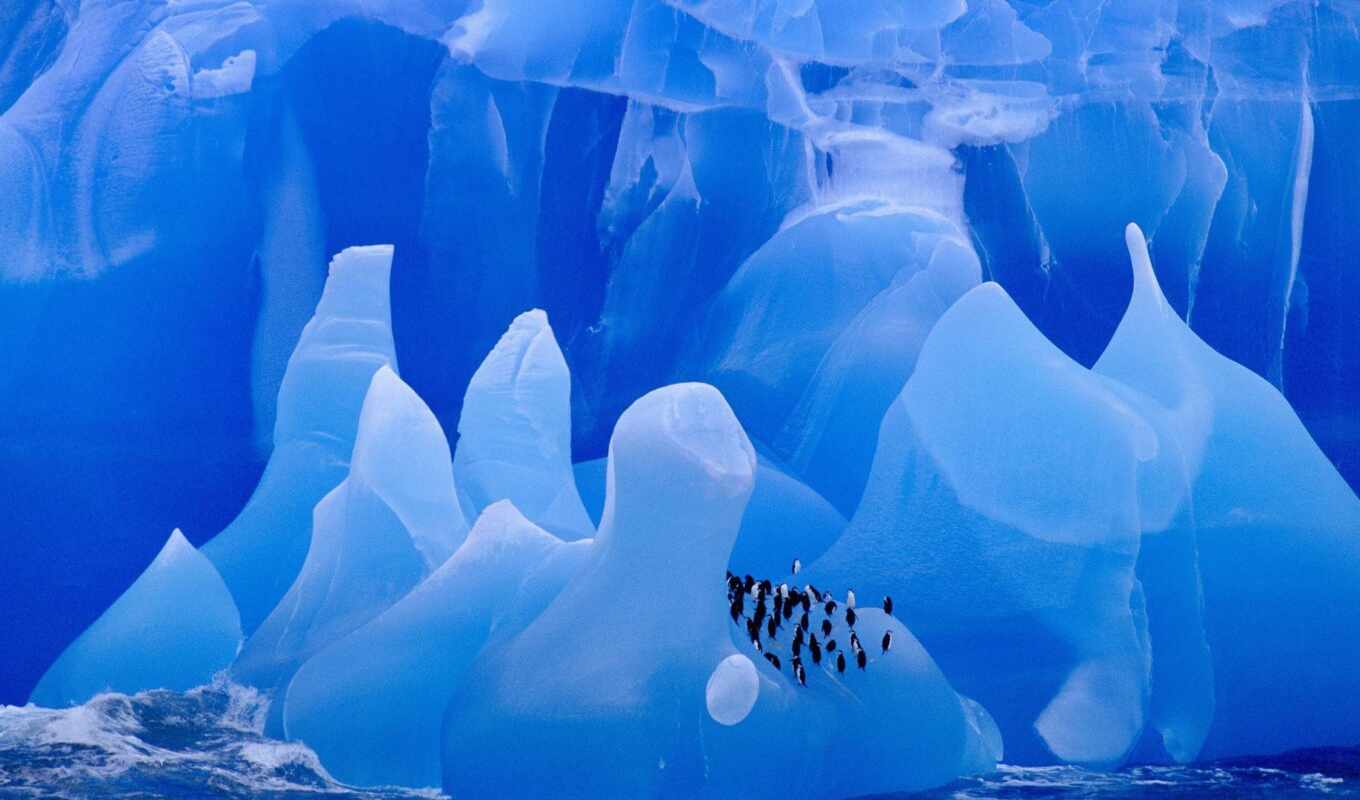 ice, amazing, glacier, iceberg, penguin, antarctica