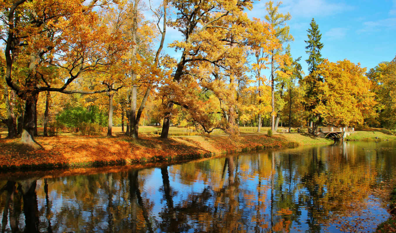 sun, autumn, foliage, tapety, village, park, trees, parks, the river, queen