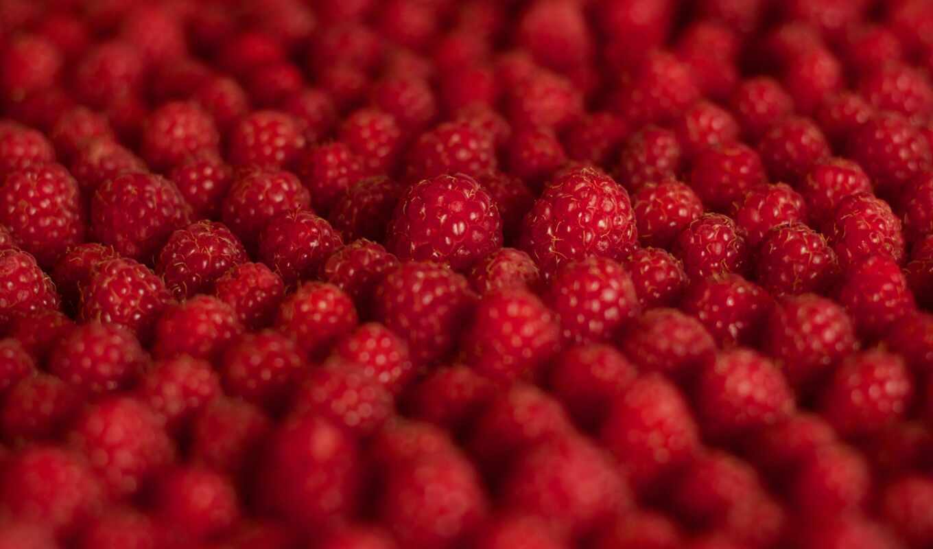 meal, picture, screen, red, presentation, raspberry, berry