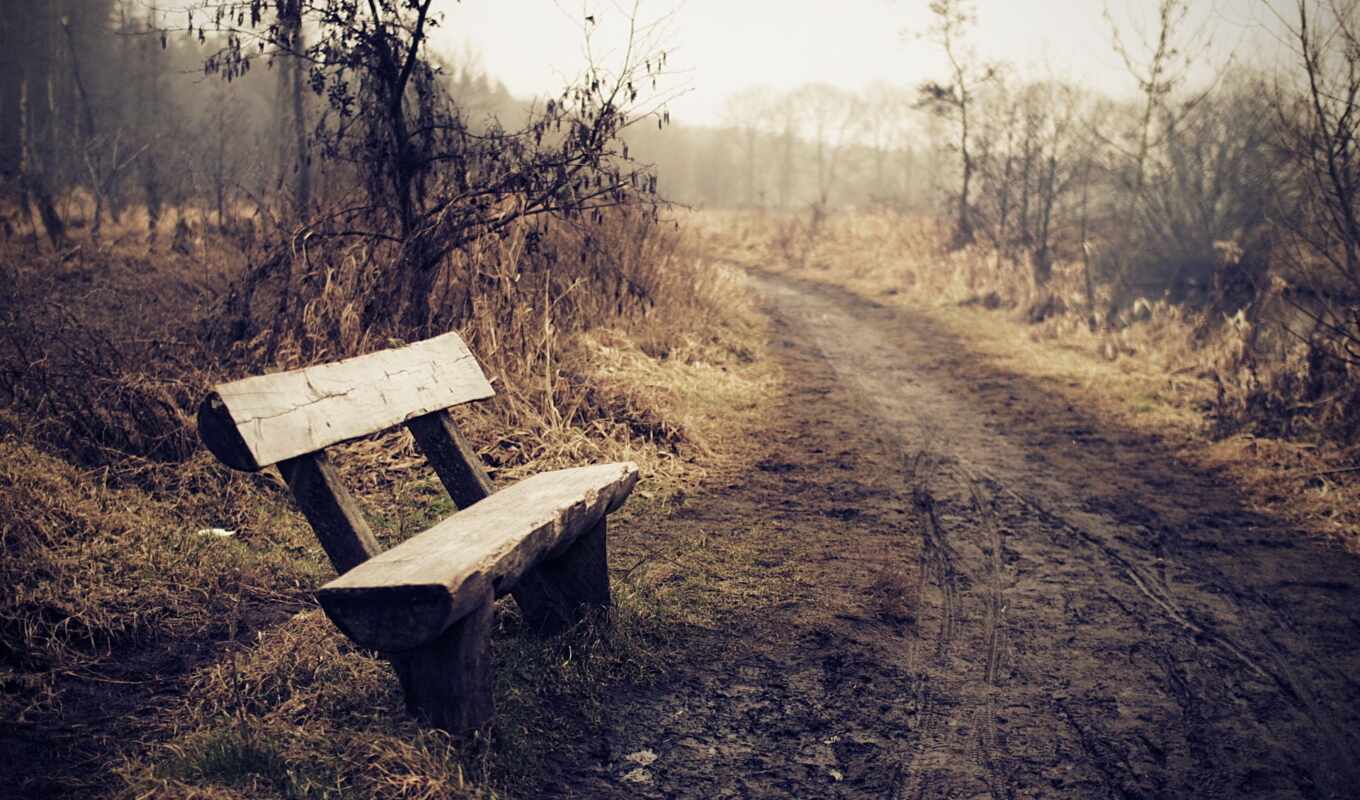 background, life, expensive, feeling like, bench