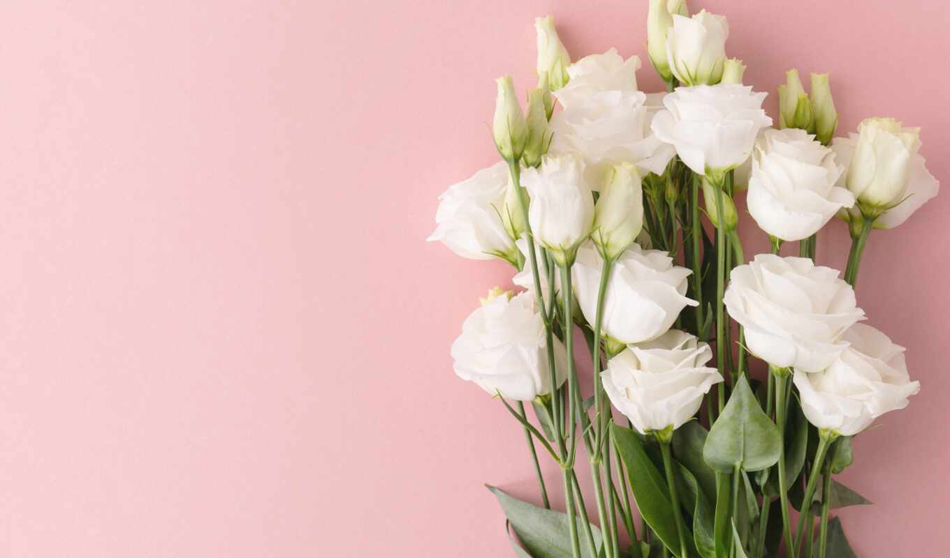 flowers, rose, white, pink, bouquet, tape, baguette, eustom, bakery