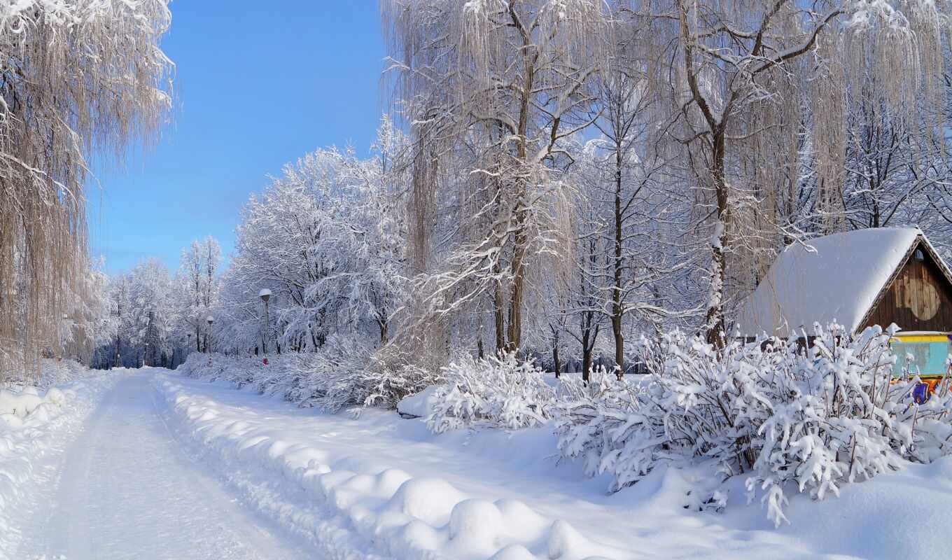 природа, winter, красивый