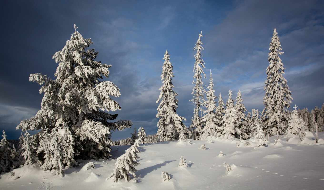 природа, есть, снег, winter, norwegian, lillehammer