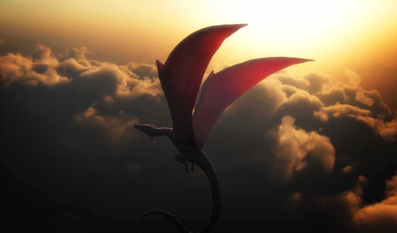 sky, flight, dragon, cloud, wing