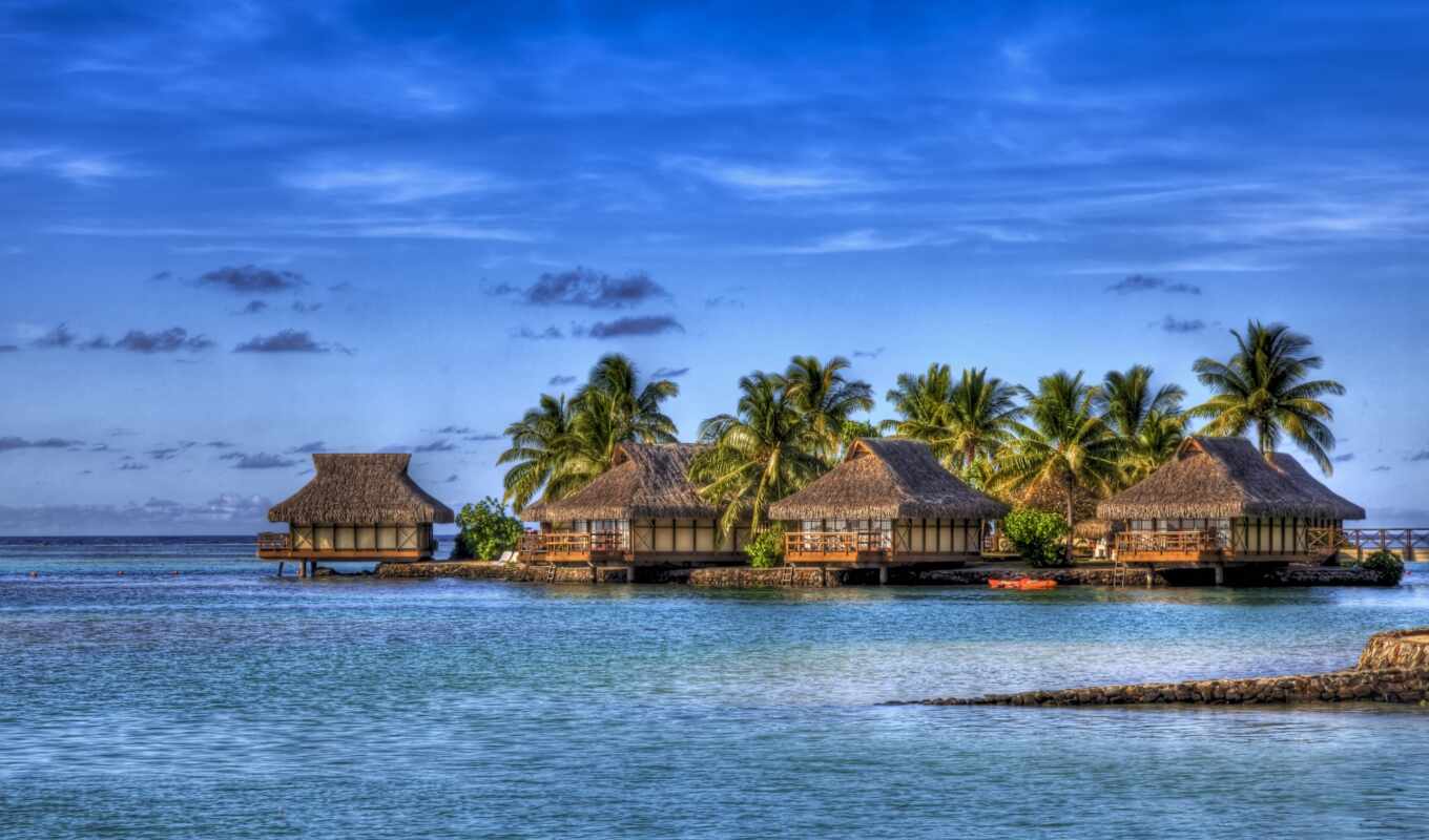 blue, shell, hotel, resort, rest, maldives, usd, vietnam